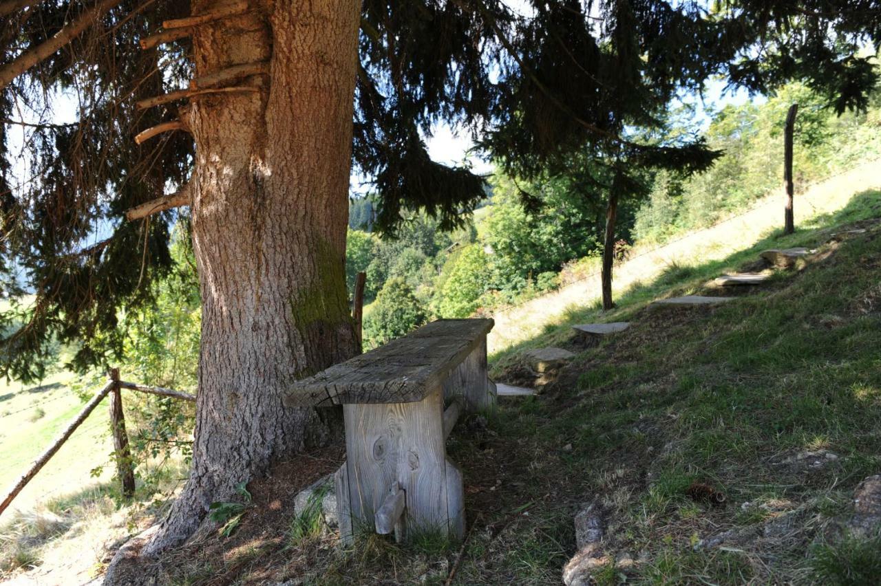 Gluehwuermchenhuette Villa Ratten Dış mekan fotoğraf